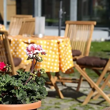 Vch Greifswald